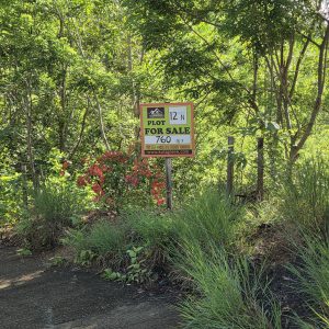 Plot 12N