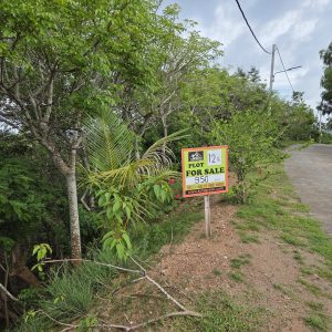 Plot 12L